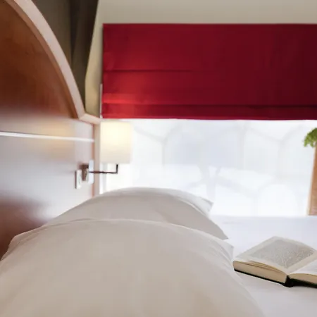 Ibis Styles Centre 3* 콜마