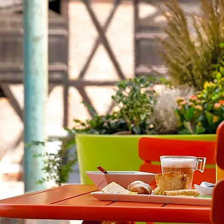 Ibis Styles Centre كولمار